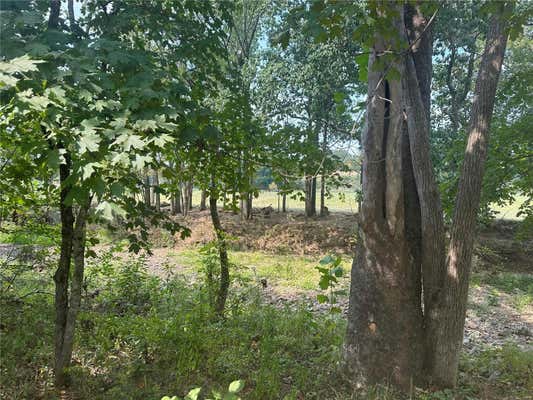 0 COUNTY RD 736, BLAND, MO 65014 - Image 1