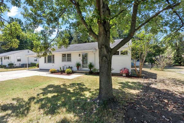 313 MARION AVE, SIKESTON, MO 63801 - Image 1