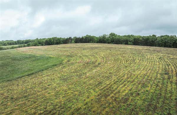 0 COUNTY ROAD 311, LINN, MO 65051, photo 3 of 22