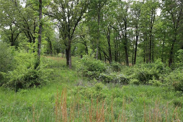 0 HILLTOP LANE, FARMINGTON, MO 63640, photo 3 of 4