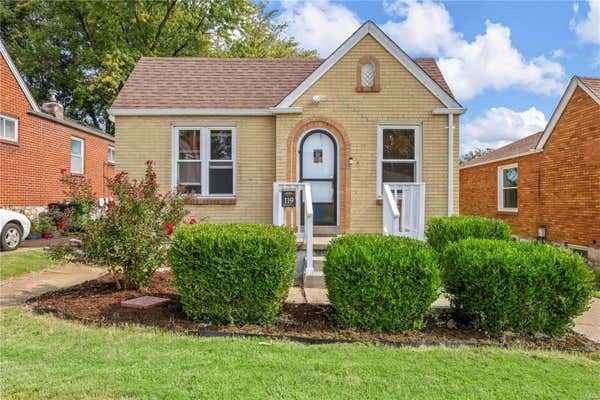 119 SHETLAND DR, SAINT LOUIS, MO 63125 - Image 1