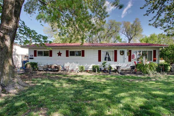 410 JAMISON ST, CANTON, MO 63435 - Image 1