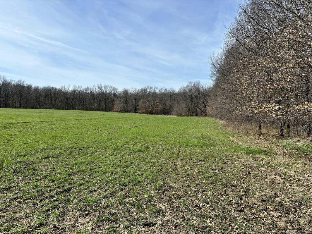 0 LOT #10 - STATE HWY 15, MEXICO, MO 65265, photo 1 of 17