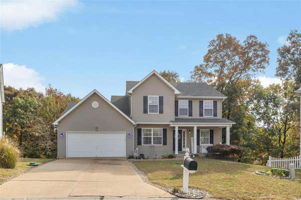 10 AMBER RIDGE CT, HIGH RIDGE, MO 63049 - Image 1