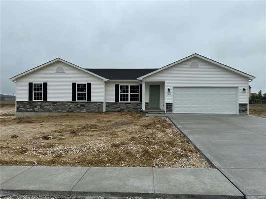 41 MILLS TRL, MOSCOW MILLS, MO 63362 - Image 1