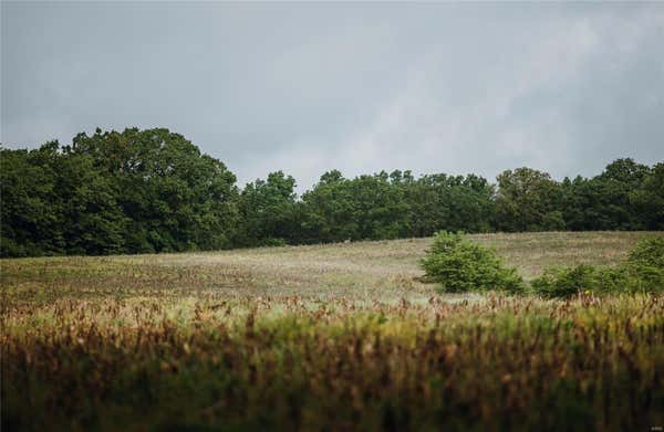 0 COUNTY ROAD 311, LINN, MO 65051, photo 5 of 22