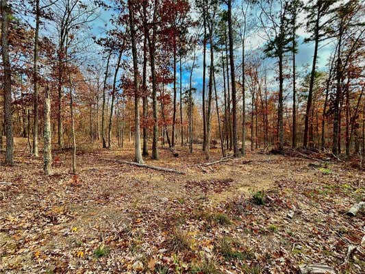 3 TRACT 3 HIGHWAY VV, LICKING, MO 65542 - Image 1