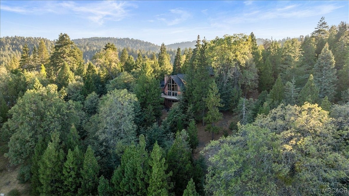 Lake Arrowhead, California, 92352, United States, 5 Bedrooms Bedrooms, ,3 BathroomsBathrooms,Residential,Active,1944014