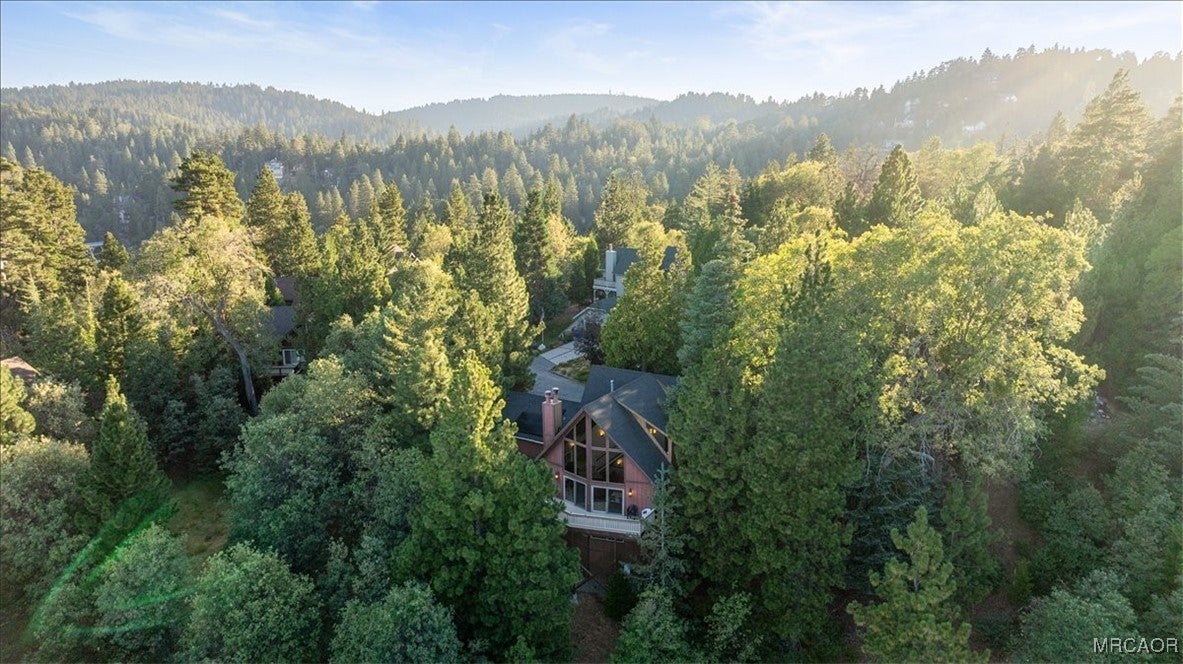 Lake Arrowhead, California, 92352, United States, 5 Bedrooms Bedrooms, ,3 BathroomsBathrooms,Residential,Active,1944014