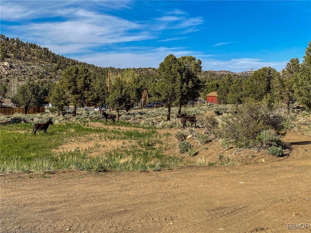 Big Bear City, California, 92314, United States, 2 Bedrooms Bedrooms, ,1 BathroomBathrooms,Residential,Active,1914609