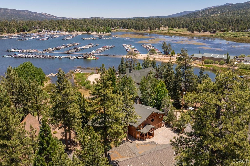 Big Bear Lake, California, 92315, United States, 4 Bedrooms Bedrooms, ,4 BathroomsBathrooms,Residential,Active,1876881
