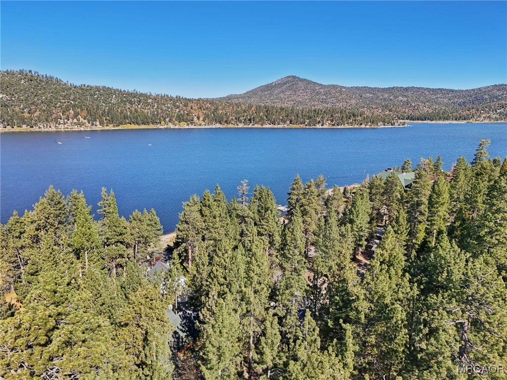 Big Bear Lake, California, 92315, United States, 4 Bedrooms Bedrooms, ,4 BathroomsBathrooms,Residential,Active,1988473