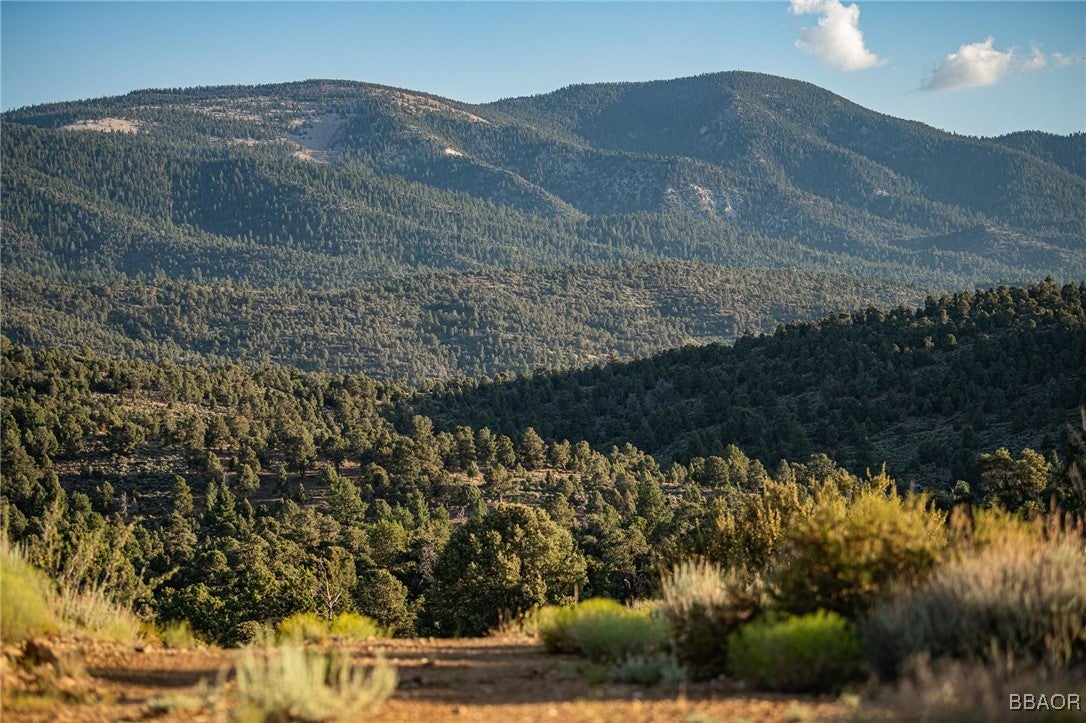 Big Bear City, California, 92314, United States, 2 Bedrooms Bedrooms, ,1 BathroomBathrooms,Residential,Active,1914609