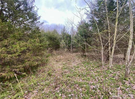 10.6AC WATSON ROAD, HAMERSVILLE, OH 45130 - Image 1