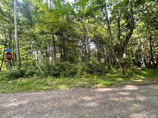 LOT 20, 24, 25, 26 LINDA LANE, CANADOHTA LAKE, PA 16438 - Image 1