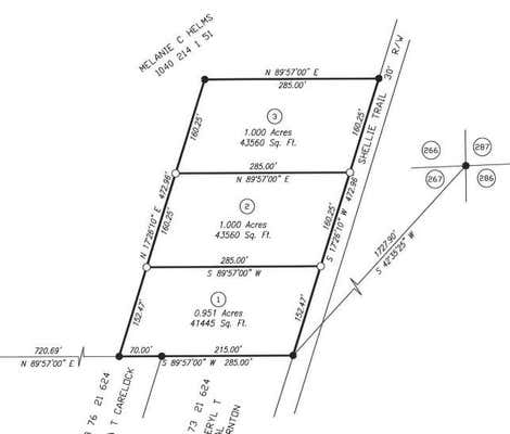 LOT 2 SHELLIE TRAIL, PATTERSON, GA 31557 - Image 1