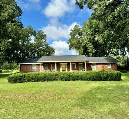 18959 GA HIGHWAY 169, REIDSVILLE, GA 30453 - Image 1