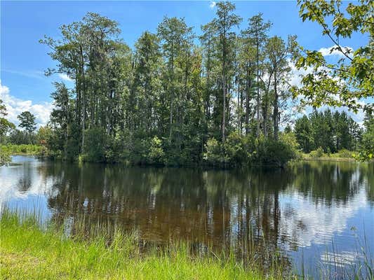 36 AND 37 LANDING TRAIL, WAYNESVILLE, GA 31566, photo 3 of 22