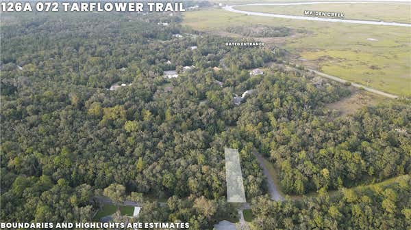 LOT 72 TAR FLOWER TRAIL, WAVERLY, GA 31565 - Image 1