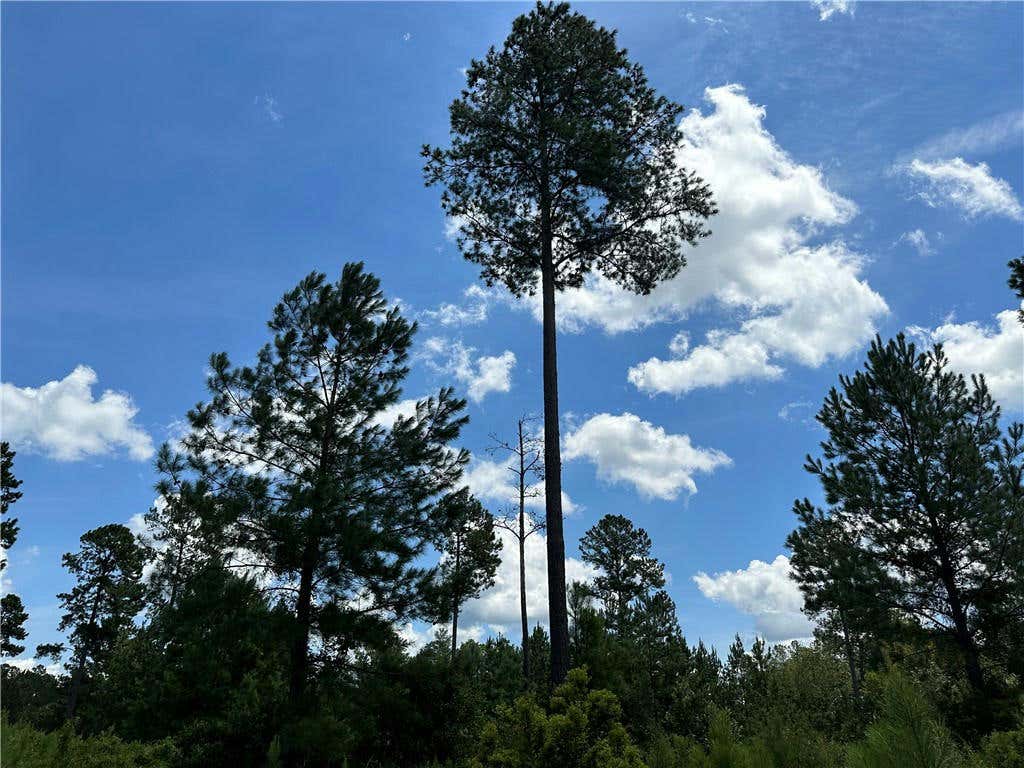 36 AND 37 LANDING TRAIL, WAYNESVILLE, GA 31566, photo 1 of 22