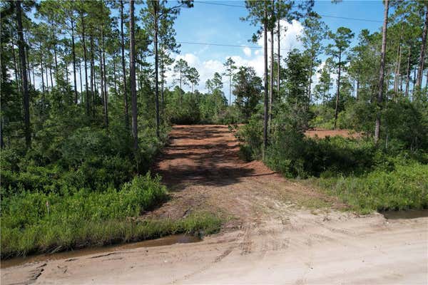 B084 010 ALBERT GIBSON ROAD, HORTENSE, GA 31543 - Image 1