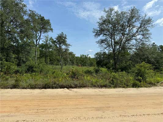 (13+ ACRES) HARVEST ROAD, NAHUNTA, GA 31553 - Image 1