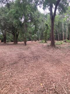 Tomball, Texas, 77375, United States, 4 Bedrooms Bedrooms, ,3 BathroomsBathrooms,Residential,Active,1820831
