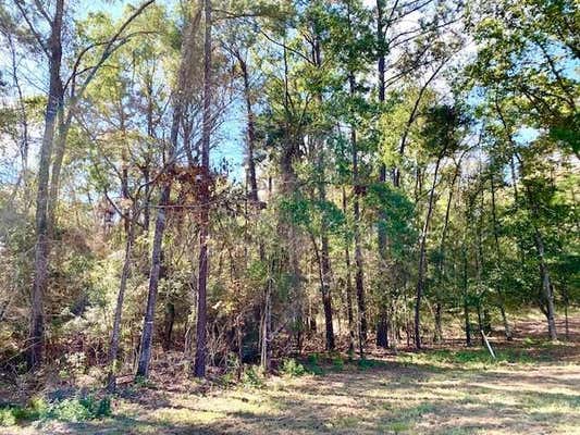 TBD 4.6+/-AC CR 2310, WOODVILLE, TX 75979 - Image 1