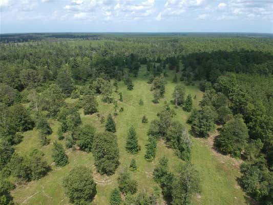 TBD PRIVATE ROAD 8385, HILLISTER, TX 77624 - Image 1