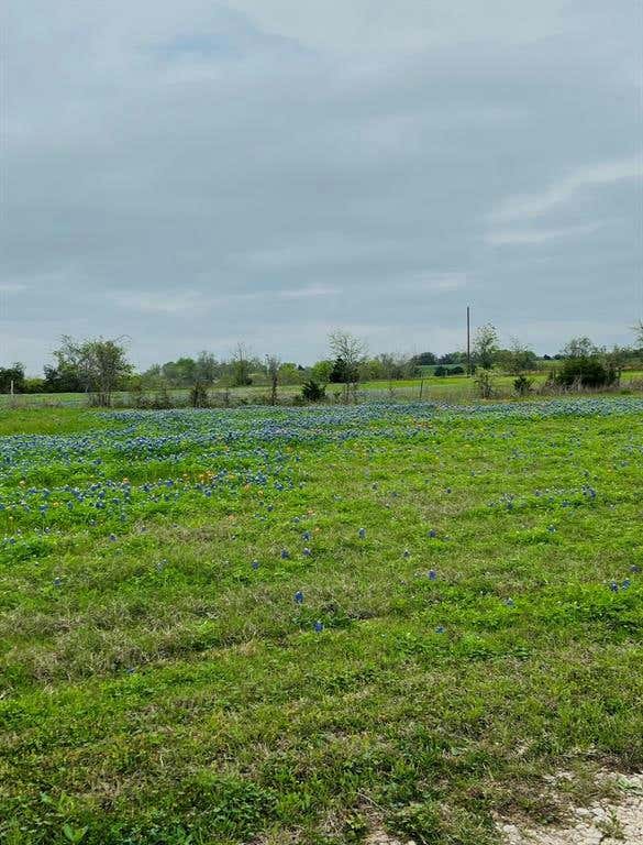 455 CENTURY FARMS RD, BURTON, TX 77835, photo 1 of 16