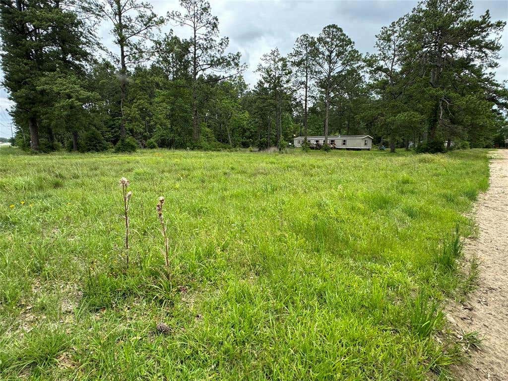 32985 US HIGHWAY 96 S, BUNA, TX 77612, photo 1