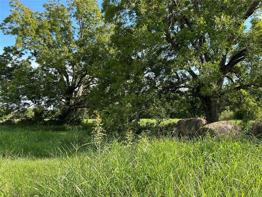 000 TX-105, BRENHAM, TX 77833, photo 2 of 18