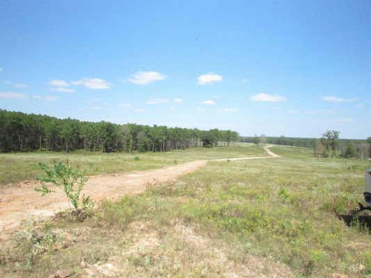 0001 FM 256 N, WOODVILLE, TX 75979 - Image 1