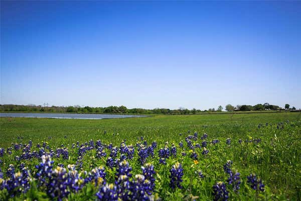 TRACT 4 CANEY CREEK ROAD, CHAPPELL HILL, TX 77426 - Image 1