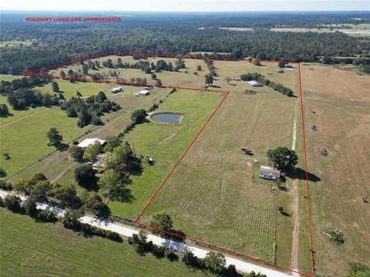 55 ACRES CR 146, BEDIAS, TX 77831 - Image 1