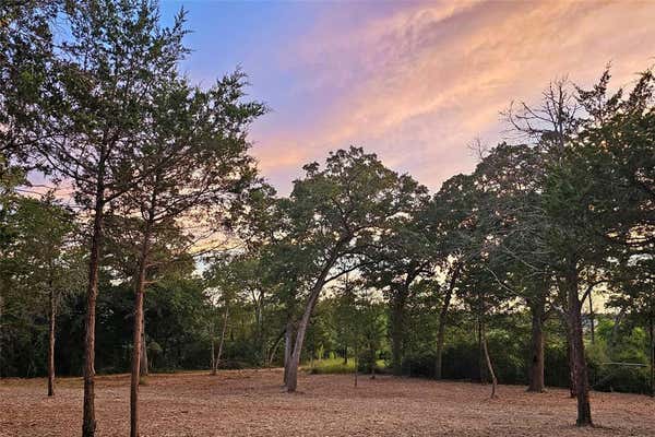 000 AGGET ROAD, SMITHVILLE, TX 78957 - Image 1