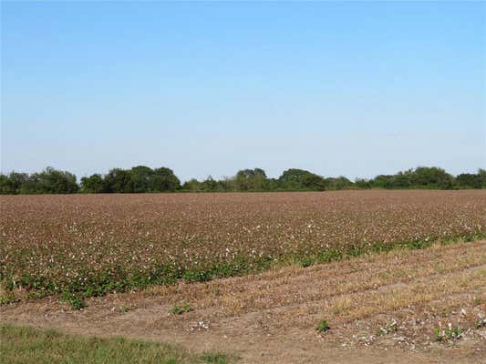 00 COUNTY RD 356, LOUISE, TX 77455, photo 3 of 9