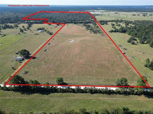 175 ACRES COUNTY ROAD 146, BEDIAS, TX 77830 - Image 1