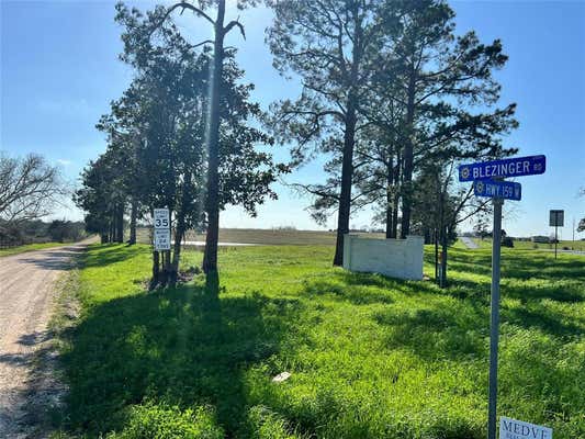 001 BLEZINGER ROAD, NEW ULM, TX 78950 - Image 1