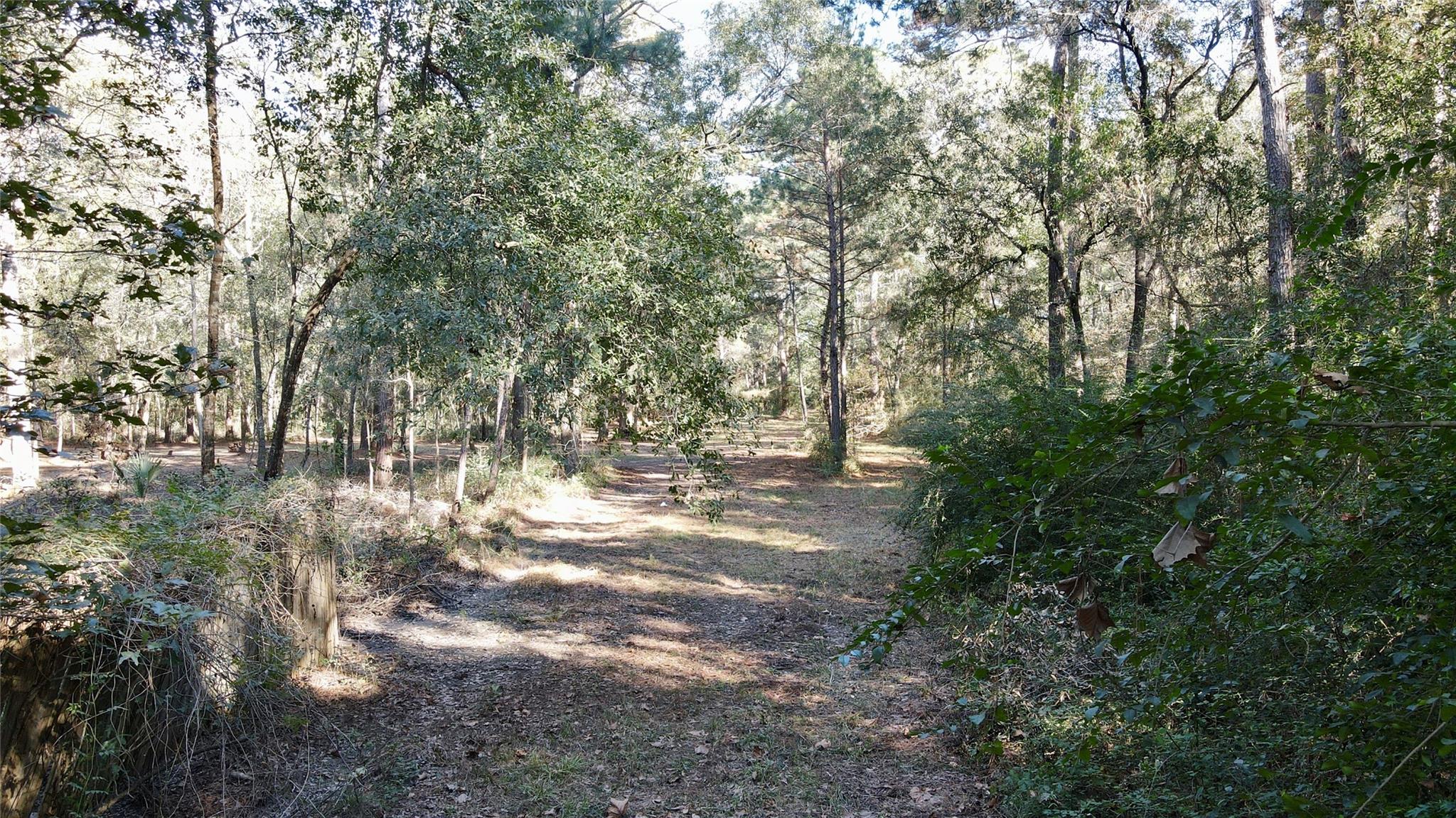 Cleveland, Texas, 77328, United States, 3 Bedrooms Bedrooms, ,2 BathroomsBathrooms,Residential,Active,2006780