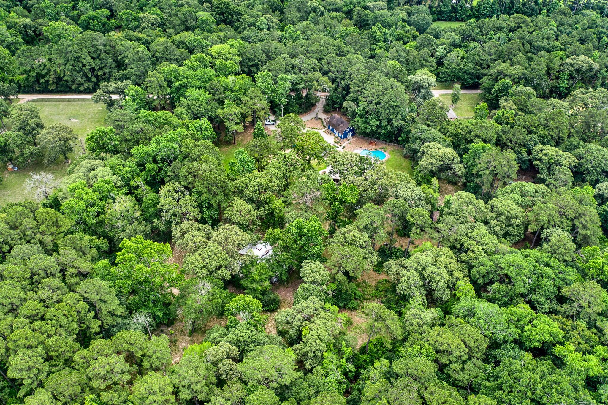 Tomball, Texas, 77377, United States, ,4 BathroomsBathrooms,Residential,Active,1849527