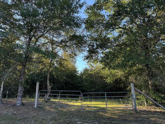 TBD COUNTY ROAD 4770, WARREN, TX 77664 - Image 1