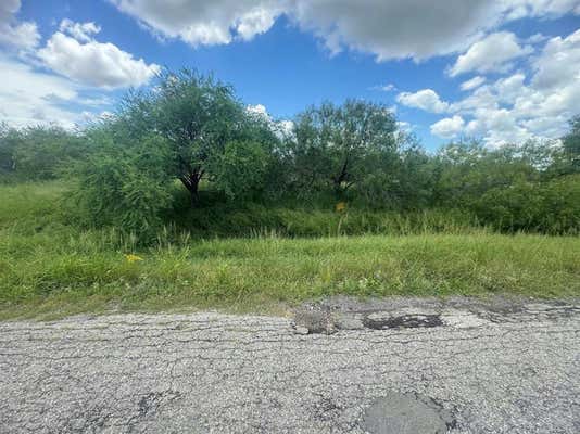 0 W 1ST STREET, BISHOP, TX 78343 - Image 1