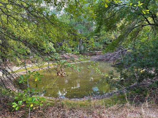 131 COUNTY ROAD 540, FAIRFIELD, TX 75840, photo 3 of 20