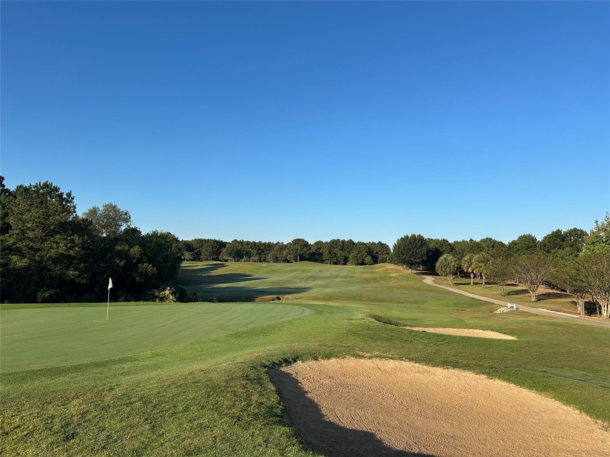 Montgomery, Texas, 77316, United States, 5 Bedrooms Bedrooms, ,7 BathroomsBathrooms,Residential,Active,1965996