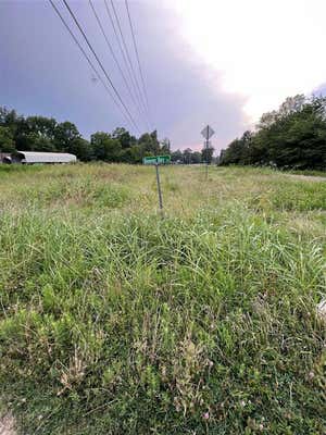 000 BEAVER BAY LANE, LIVINGSTON, TX 77351 - Image 1