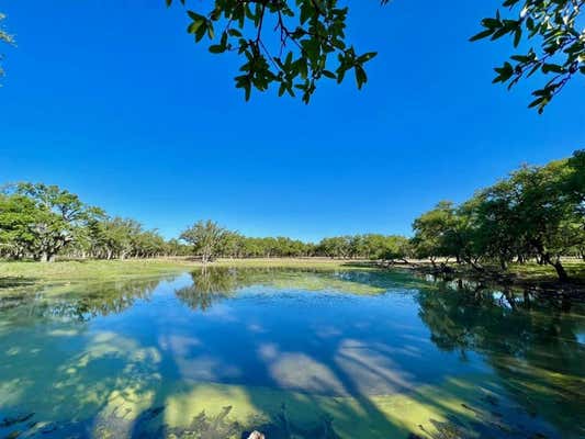 0 RANCH TO MARKET 187 ROAD, HUNT, TX 78024 - Image 1