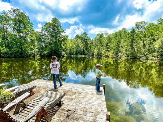 TBD COUNTY ROAD 3038, NEWTON, TX 75966 - Image 1