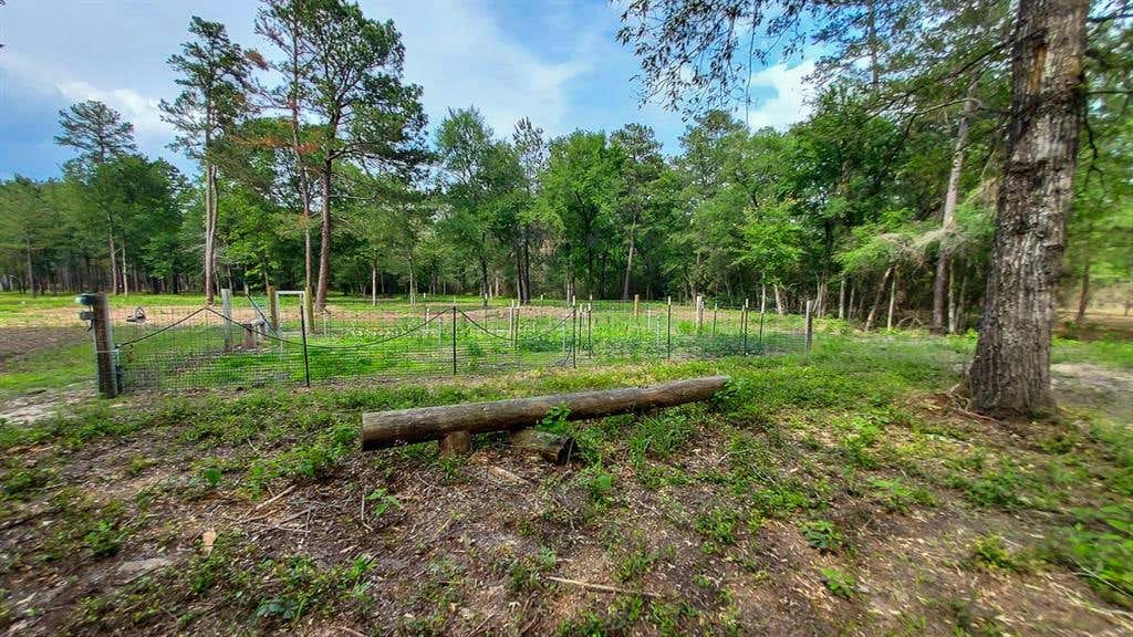 134 CEDAR RDG, HUNTSVILLE, TX 77320, photo 1 of 15