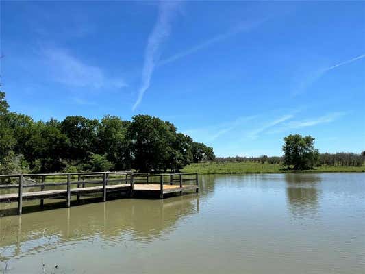 TBD CANEY CREEK RD, CHAPPELL HILL, TX 77426 - Image 1